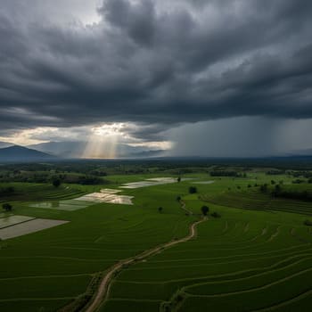 Monsoon clouds rolling over paddy fields